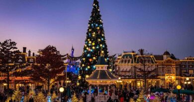 Disneyland Paris Christmas 2024