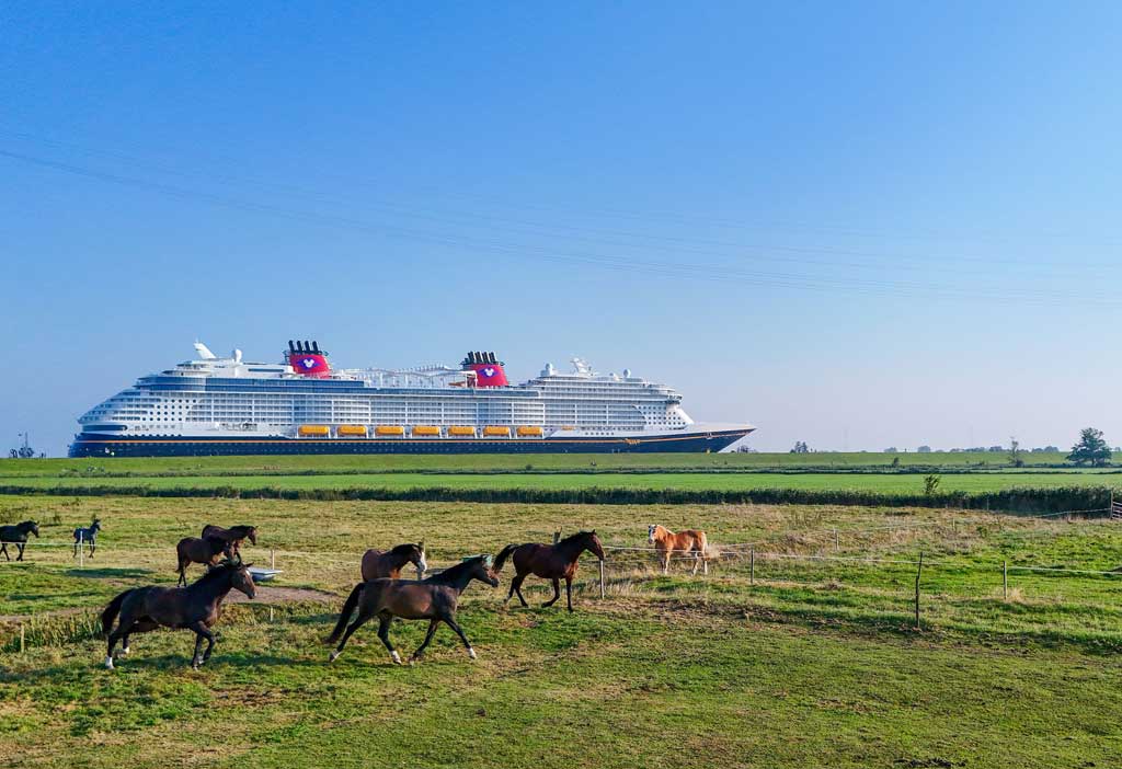 Disney Treasure Conveyance