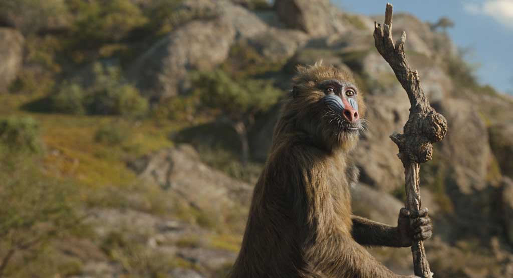 Young Rafiki (voiced by Kagiso Lediga) live-action Disney’s MUFASA: THE LION KING. Photo courtesy of Disney. © 2024 Disney Enterprises Inc. All Rights Reserved.