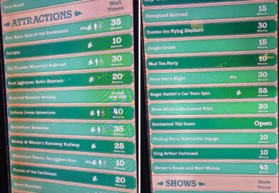 Disneyland Wait Times at 7:20pm