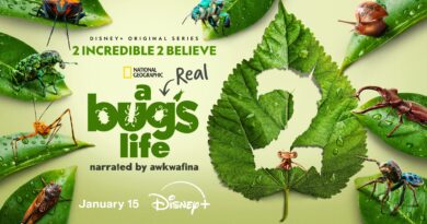 A Real Bug's Life - Season 2