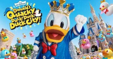 Donald’s Quacky Duck! Duck! Duck City!