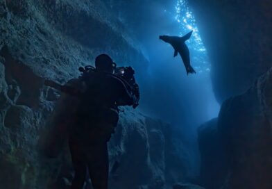 DisneyNature’s “Sea Lions of the Galapagos” and “Guardians of the Galapagos”