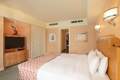 Disney Fantasia Room