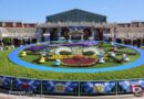 Pictures:  Disney Pal-Palooza Donald’s Quacky Duck! Duck! Duck City! Decorations