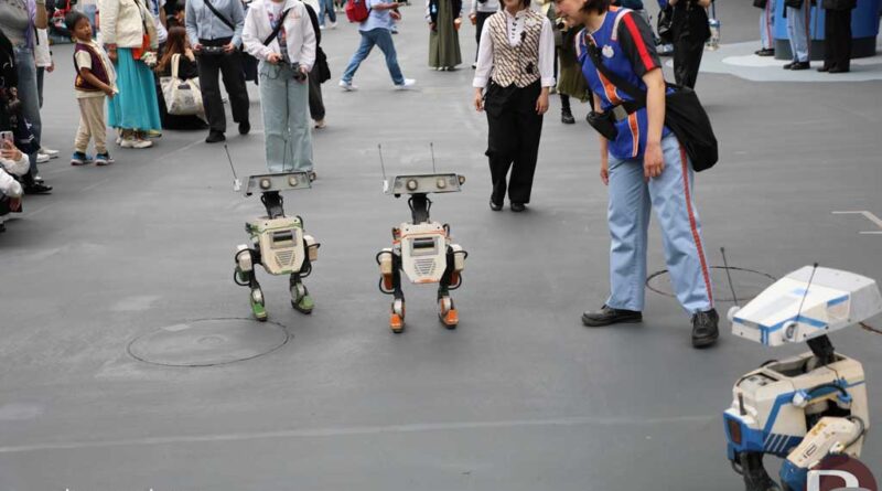 2025 05 12 IMG 6735