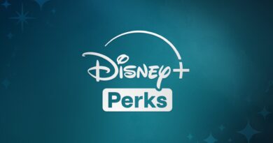 Disney Perks