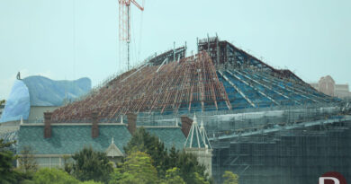 2025 05 14 IMG 9523